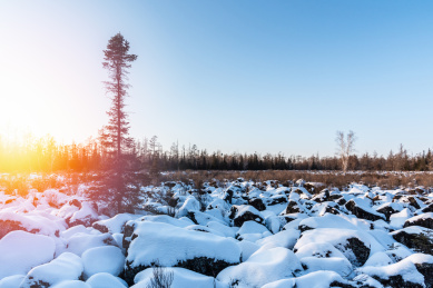 冬天雪后的黑龙江伊春红星火山地质公园石海