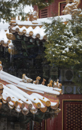 北京故宫御花园万春亭雪景