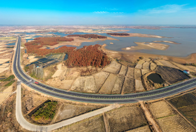 中国安徽省滁州市半塔镇池杉林航拍