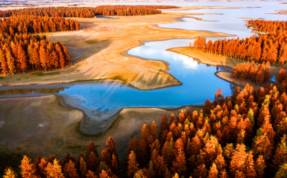 中国安徽省滁州市半塔池杉航拍