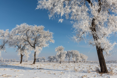 中国吉林省吉林市雾凇岛风光