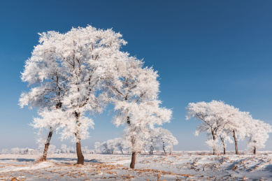 中国吉林省吉林市雾凇岛风光