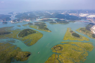 广西钦州龙门群岛