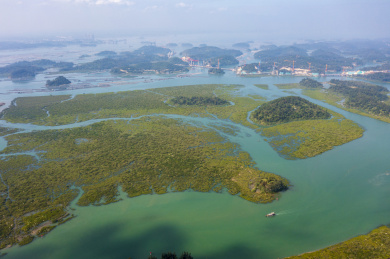 广西钦州龙门群岛