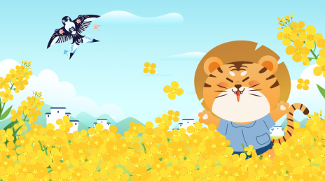 立春油菜花田里的小老虎