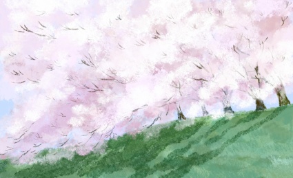 手绘春日里美丽的樱花树盛开