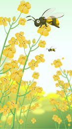 春分二十四节气油菜花蜜蜂矢量插画