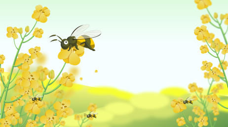 油菜花春天惊蛰春分二十四节气蜜蜂矢量插画