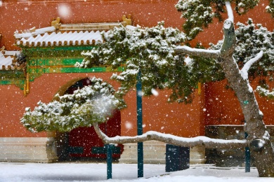 北京故宫雪景