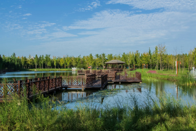 中国河南省濮阳市清丰县中华孝道文化园湿地自然