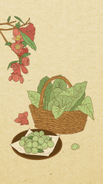 二十四节气之芒种竖版插画