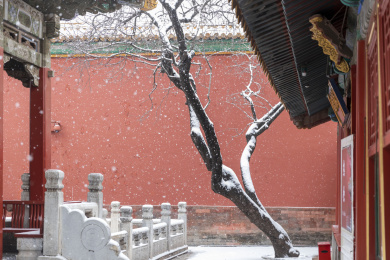 北京故宫雪景