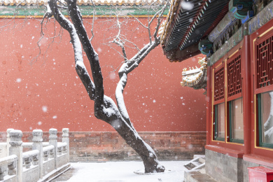 北京故宫雪景