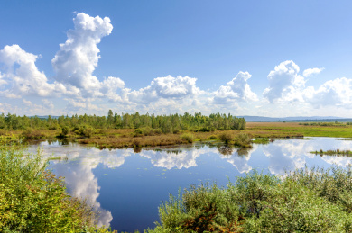 中国黑龙江伊春新青国家湿地公园