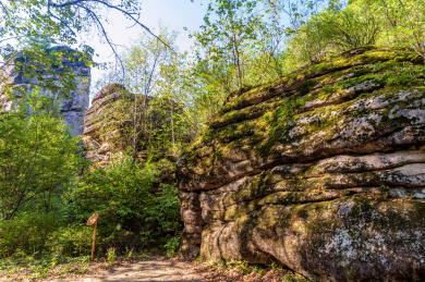 中国黑龙江伊春汤旺河林海奇石风景区