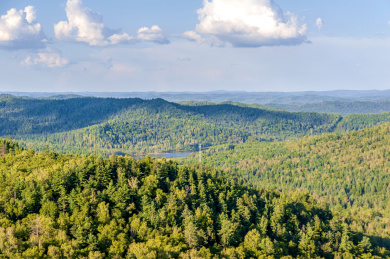 中国黑龙江伊春汤旺河林海奇石风景区
