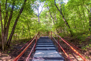 中国黑龙江伊春嘉荫茅兰沟国家森林公园