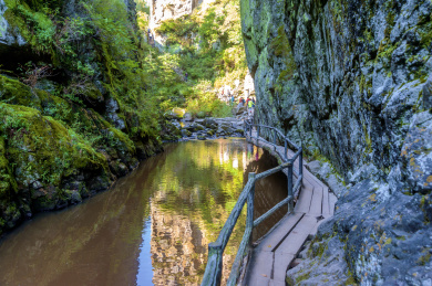 中国黑龙江伊春嘉荫茅兰沟国家森林公园