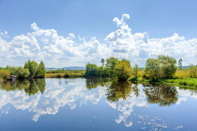 中国黑龙江伊春新青国家湿地公园