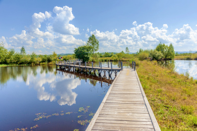 中国黑龙江伊春新青国家湿地公园