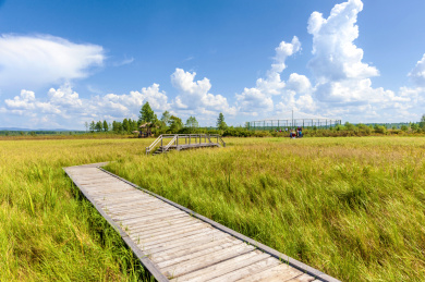 中国黑龙江伊春新青国家湿地公园