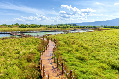 中国黑龙江佳木斯抚远黑瞎子岛湿地公园