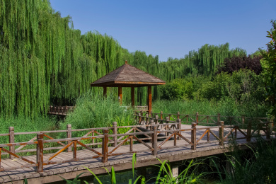 中国河南省濮阳市清丰县明月湖自然风光