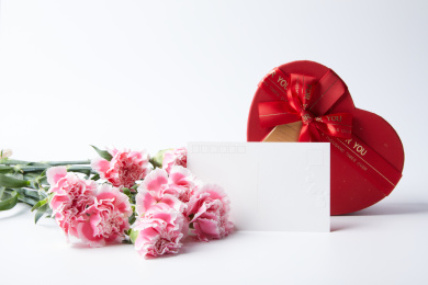 粉色康乃馨和礼物
