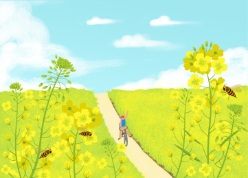 春天油菜花田乡村小路骑自行车插画海报