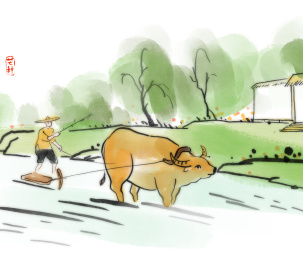 水墨插画夏天二十四节气