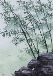 细雨中的竹子