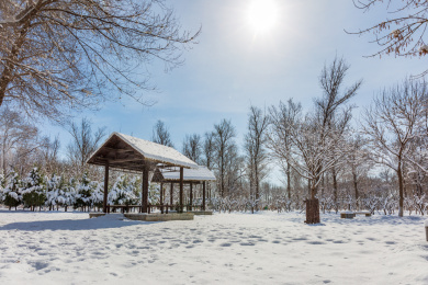 阳光下雪地上的小屋