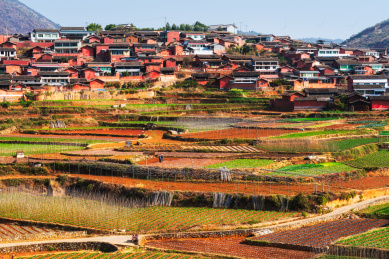 四川攀枝花平地镇迤沙拉村春季五彩农田风光