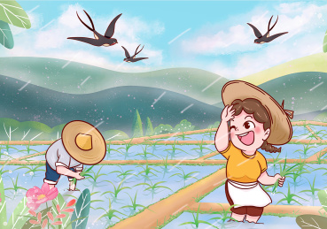 春天谷雨水田插秧