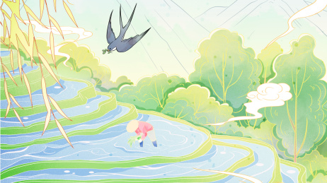 谷雨时节农民在田里插秧劳作中国风壁纸