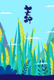 水雾漂浮在茂盛的麦穗上