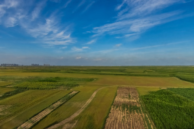 中国内蒙古包市头农郊田园农作物自然风光
