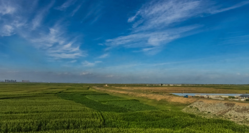 中国内蒙古包市头农郊田园农作物自然风光
