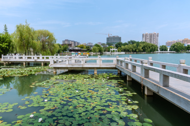 中国安徽宿州灵璧奇石文化园的九曲桥莲花池
