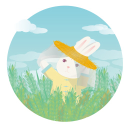 小满戴着草帽的白兔在青色麦田晒太阳看云朵