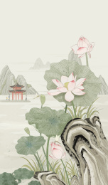 立夏西湖荷花盛开 湖光山色亭台楼阁