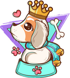 期待眼神看着你的王冠狗狗