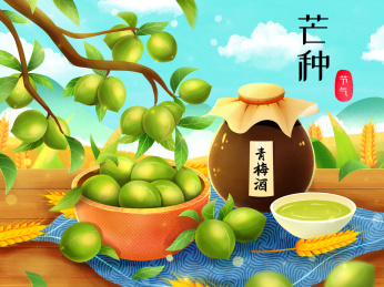 夏天芒种青梅青梅酒插画