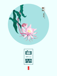 白露昙花