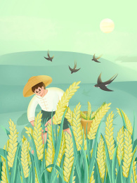 芒种扁平化插画