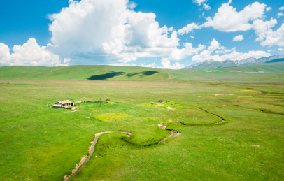 中国甘肃甘南州甘南草原牦牛牧场放牧自然
