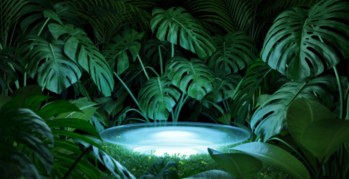 照明展示台与绿色植物背景