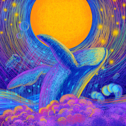 线圈插画月夜下跃起的鲸鱼