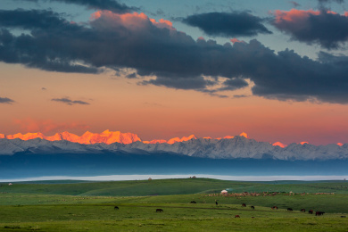 中国新疆伊犁夏季草原