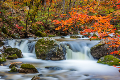 中国辽宁本溪大冰沟秋季风光